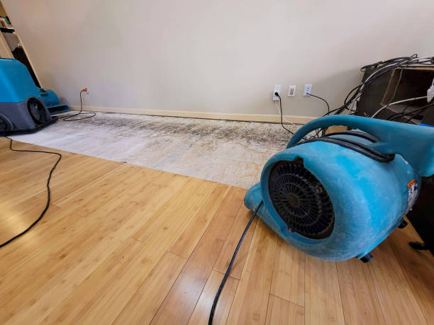 Professional Water Damage Repair technician working in Dorset, OH
